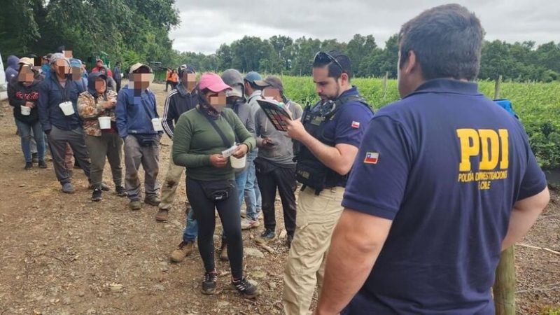 Encuentran a 46 extranjeros trabajando de forma irregular en predio agrícola