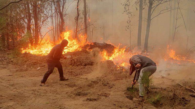 Emiten Alerta Temprana Preventiva por riesgos de incendios forestales en Los Ríos