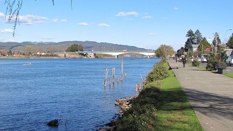 Capitanía de Puerto de Valdivia lamentó incidente fluvial que afectó a remeros en el río Calle Calle