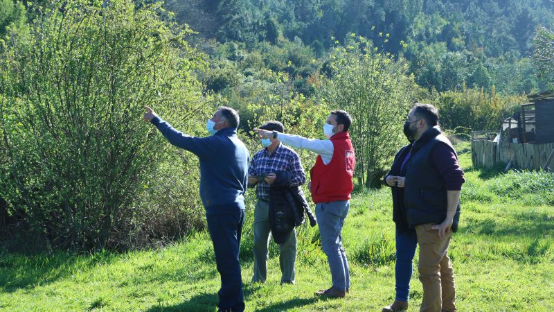 Humedal Collilelfu-Equil es el primer humedal urbano de Los Ríos en ser declarado bajo ley que protege dichos ecosistemas