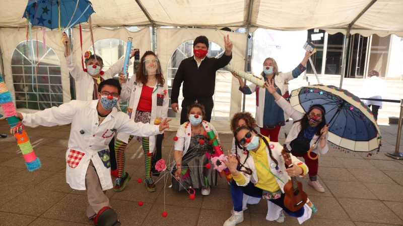 Agrupación AlegrArte Clown capacitó a sus integrantes para realizar terapias virtuales a niños hospitalizados en Valdivia