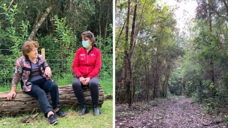 “Debemos educarnos unos a otros”: Laura Santana, una vida dedicada a la conservación del bosque nativo