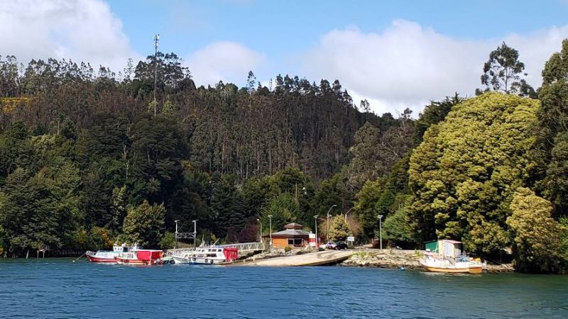 Isla del Rey, la más grande de la región de Los Ríos