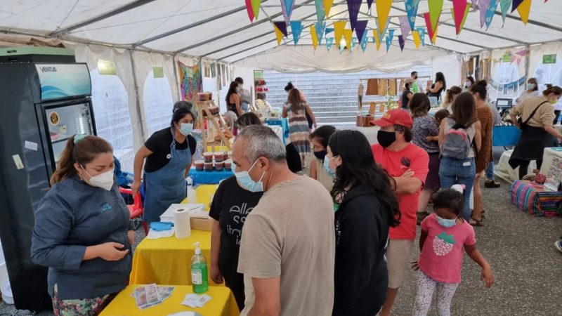 Tercera versión de la Expo Mujer se realiza en Panguipulli hasta el jueves