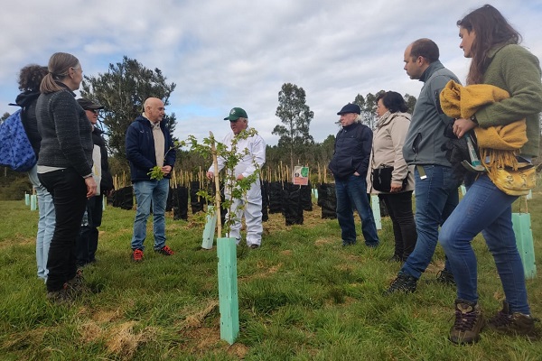 Adaptación al cambio climático: apicultores conocieron huerto melífero implementado en Curiñanco