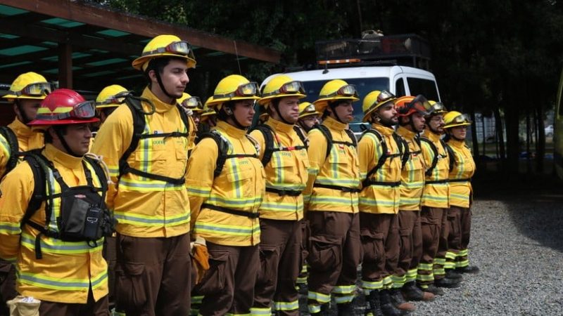 Habilitan más de 151 kilómetros de cortafuegos para prevención de incendios forestales