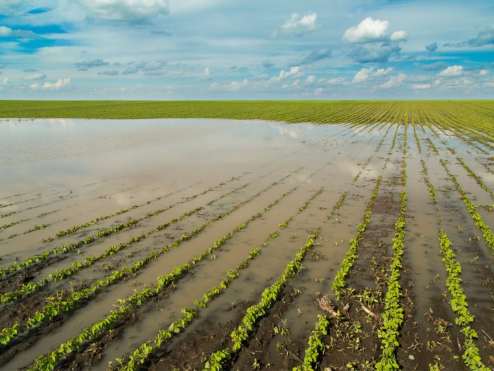 Entregan aportes a los pequeños agricultores afectados por las inundaciones