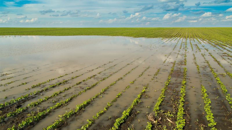 Entregan aportes a los pequeños agricultores afectados por las inundaciones