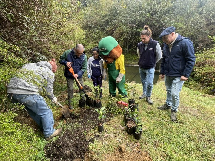 Entregaron 300 plantas nativas a APR de La Aguada para la protección de sus cuencas de agua 