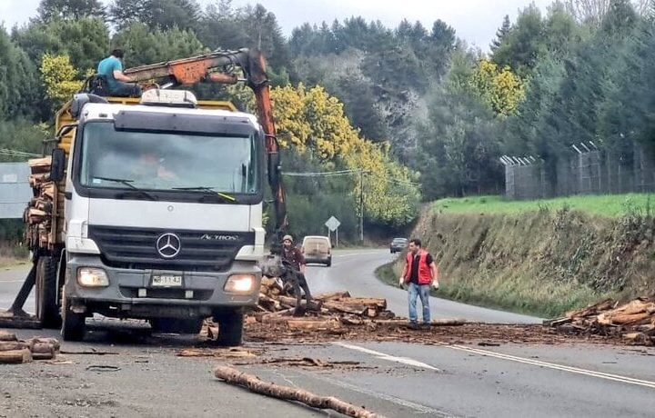 Cayó carga de camión en ruta que une Valdivia y Mariquina