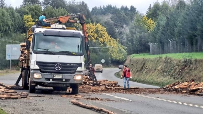 Cayó carga de camión en ruta que une Valdivia y Mariquina