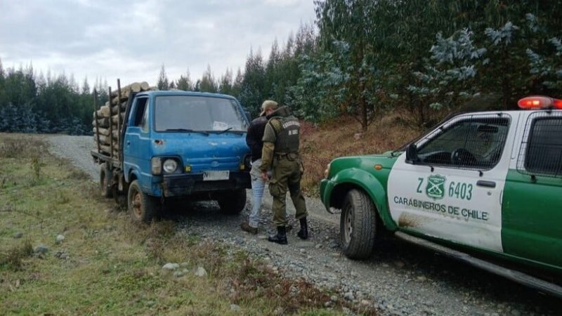 Detienen a tres personas por de robo de madera