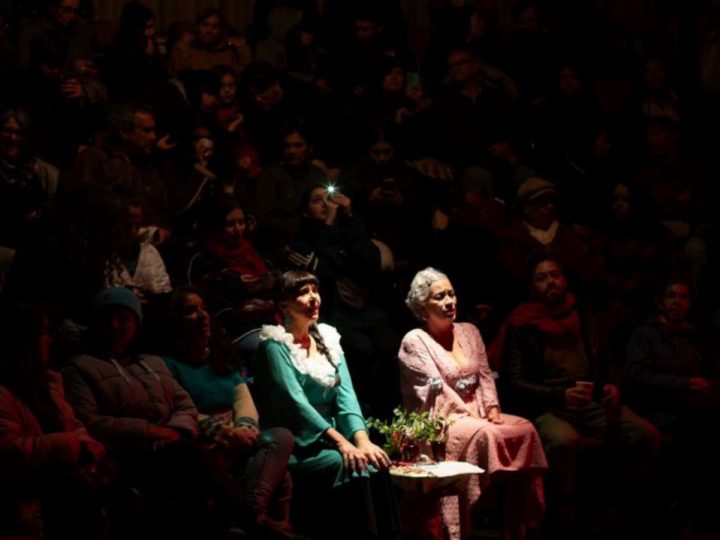 Obras de teatro llegan a La Unión y Los Lagos en el marco del programa “Cervantes en Comunas”