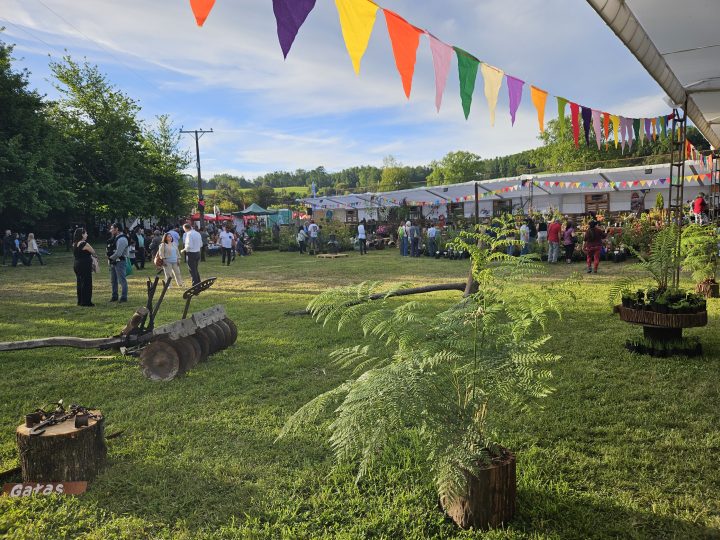 Feria Sabores y Sensaciones del Ranco comenzó con Cocina en Vivo