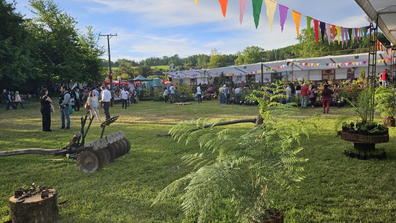 Feria Sabores y Sensaciones del Ranco comenzó con Cocina en Vivo