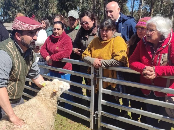 Agricultores de Los Ríos avanzan en adaptación al cambio climático