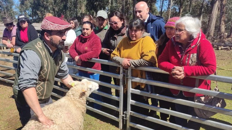 Agricultores de Los Ríos avanzan en adaptación al cambio climático