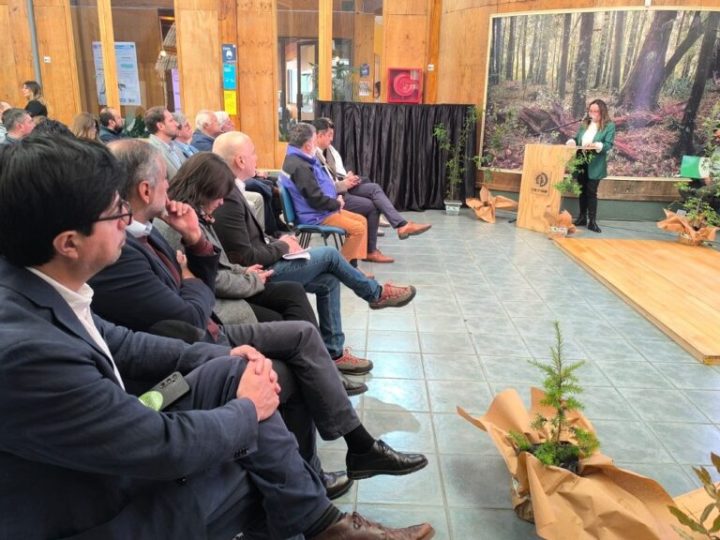 Lanzan Mesa de Fomento a la Industria Forestal de la región