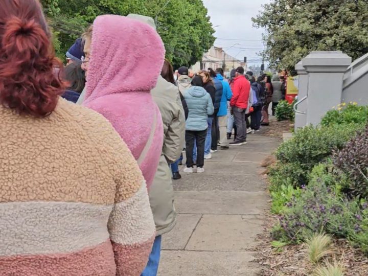 Gigantesca fila marcó inscripción de primer programa municipal de esterilización de mascotas del 2024