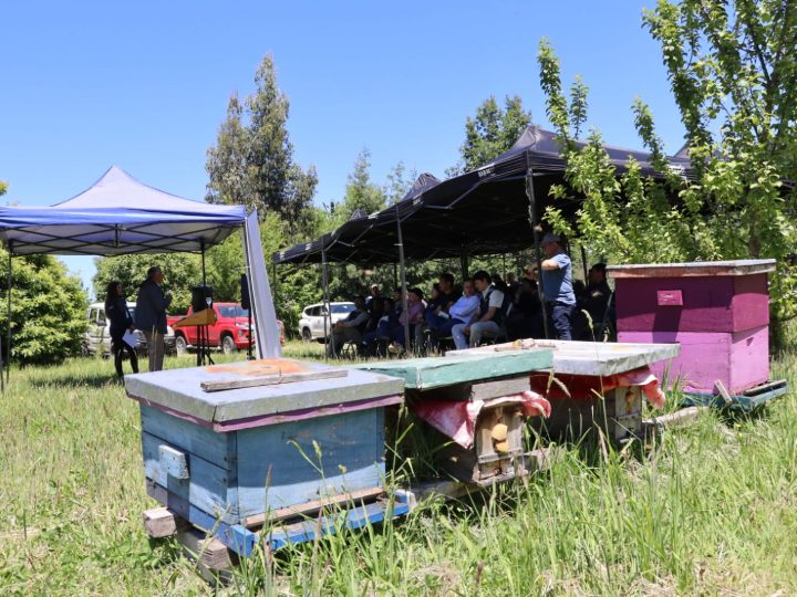 Apicultores celebran el lanzamiento de la primera Unidad Operativa Apícola del Servicio de Asesoría Técnica  SAT