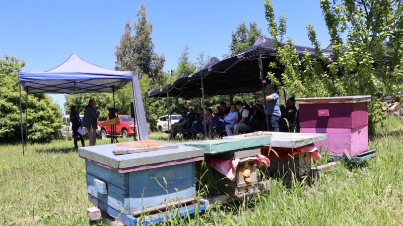 Apicultores celebran el lanzamiento de la primera Unidad Operativa Apícola del Servicio de Asesoría Técnica  SAT