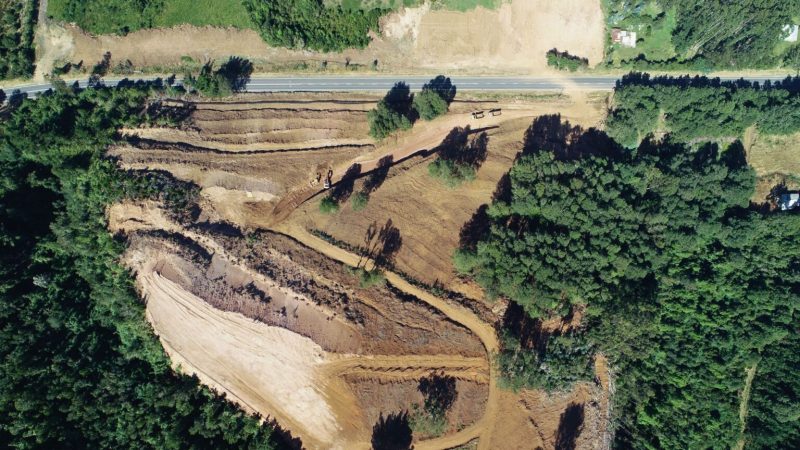 Formalizan investigación por daño ambiental y tala de bosque nativo