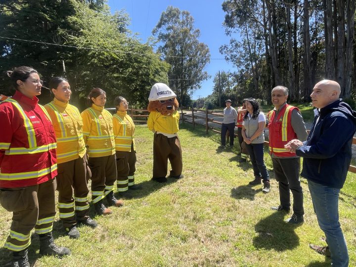 Dieron el «vamos» a la Primera Brigada Femenina para combatir incendios forestales en la Región