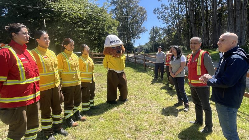 Dieron el «vamos» a la Primera Brigada Femenina para combatir incendios forestales en la Región