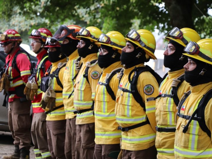 Autoridades refuerzan llamado a la prevención de incendios forestales