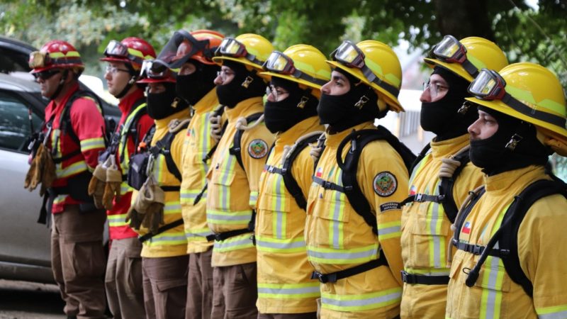 Autoridades refuerzan llamado a la prevención de incendios forestales