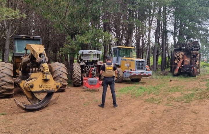 Tres personas fueron detenidas por robo de madera