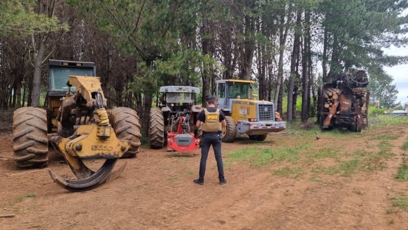 Tres personas fueron detenidas por robo de madera