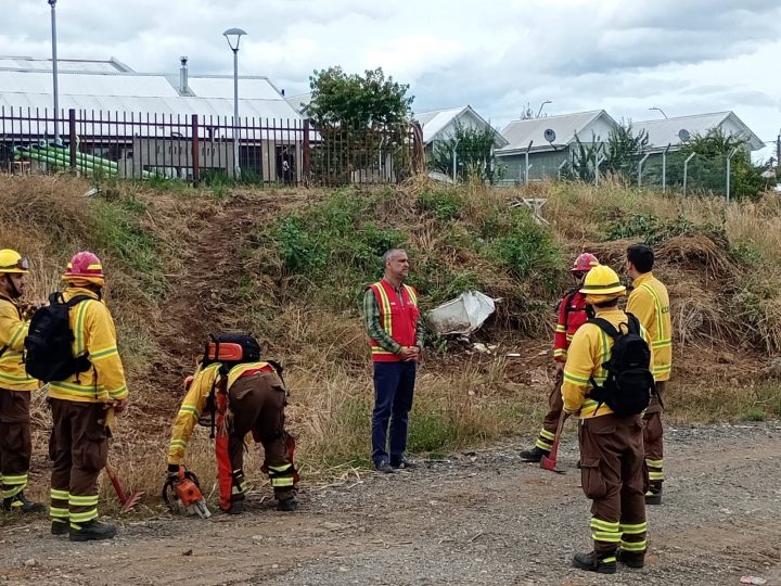 CONAF lleva un 92 por ciento de avance en trabajo de cortafuegos