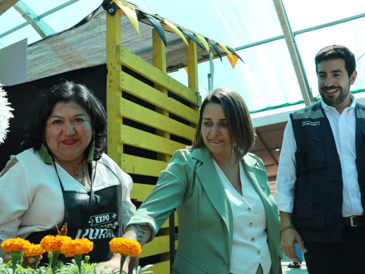 Expo Mundo Rural Los Ríos 2025: Más de 100 emprendimientos campesinos en el corazón de Valdivia