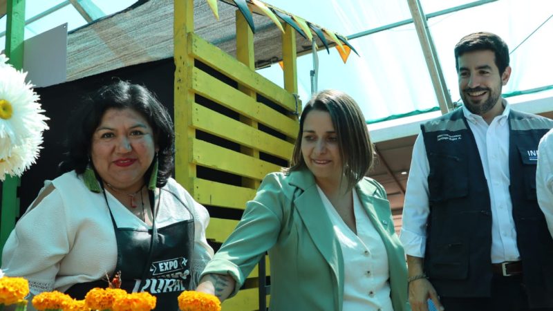 Expo Mundo Rural Los Ríos 2025: Más de 100 emprendimientos campesinos en el corazón de Valdivia