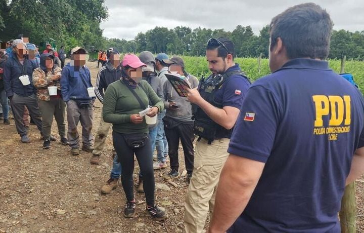 Encuentran a 46 extranjeros trabajando de forma irregular en predio agrícola