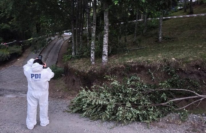 PDI investiga muerte de trabajador mientras podaba árboles