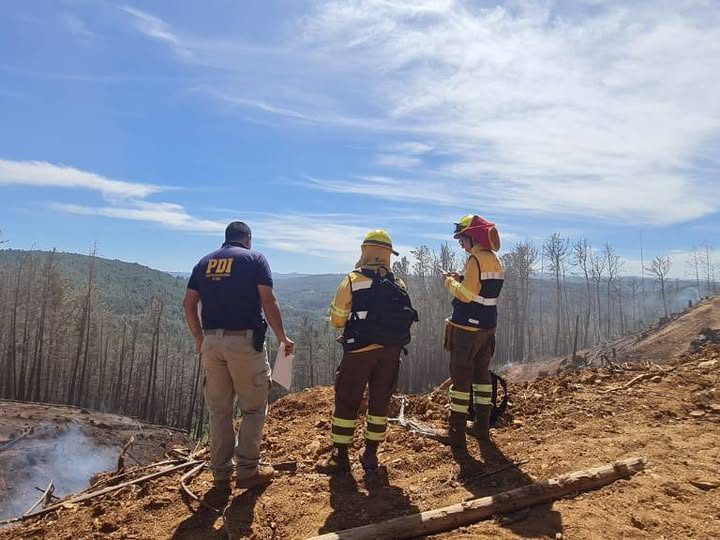 PDI investiga incendio Tres Chiflones