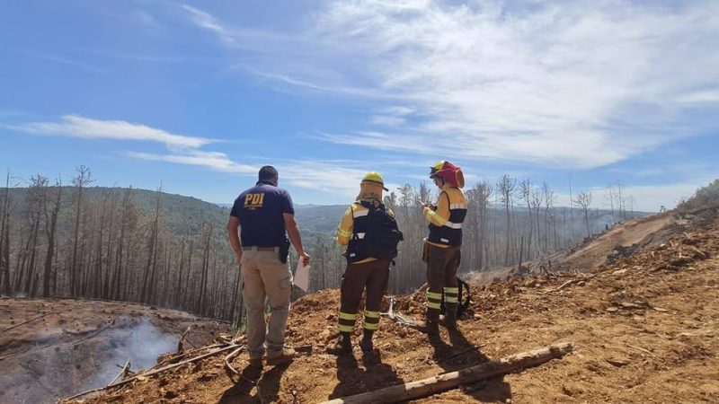 PDI investiga incendio Tres Chiflones