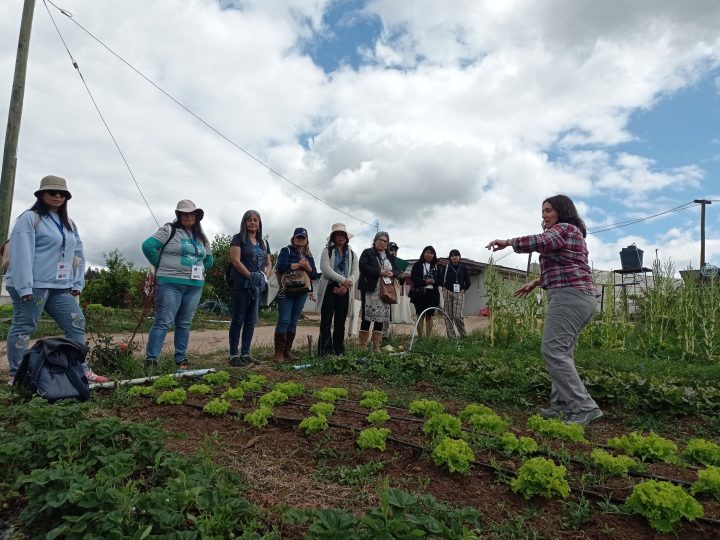 Lanzan inédito curso online dirigido a mujeres profesionales del sector agrícola