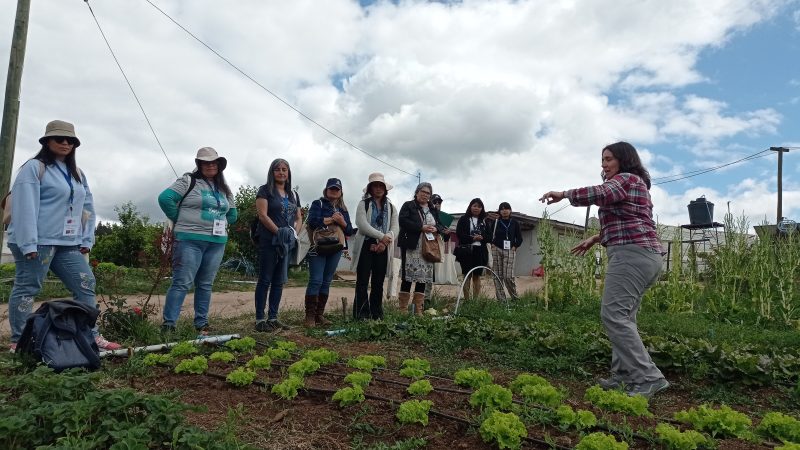 Lanzan inédito curso online dirigido a mujeres profesionales del sector agrícola