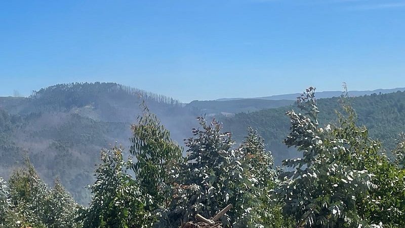 Conaf anuncia control de incendios forestales en Pilolcura y El Boquial