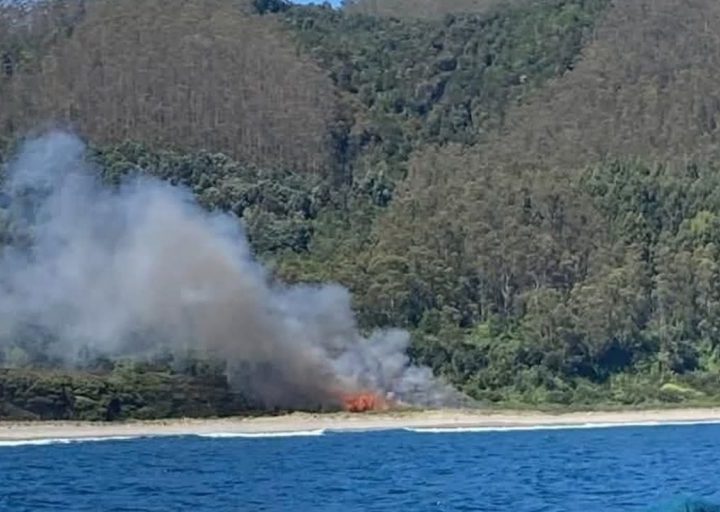 Conaf y Bomberos controlaron incendio en las dunas de Chaihuín