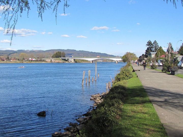 Capitanía de Puerto de Valdivia lamentó incidente fluvial que afectó a remeros en el río Calle Calle