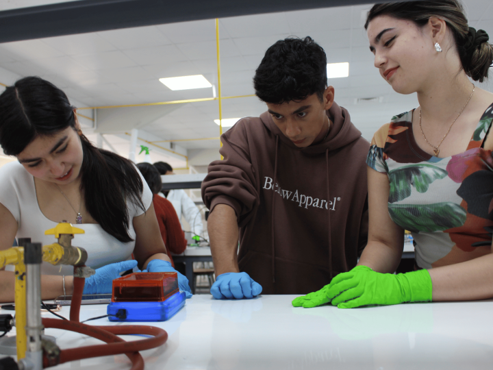 UACh realizó taller sobre recursos educativos abiertos para la enseñanza de biología molecular en salas de clases 